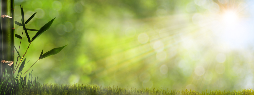 SCENERY mountain`SN 144